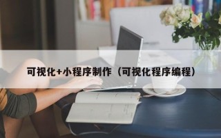 威海可视化+小程序制作（可视化程序编程）
